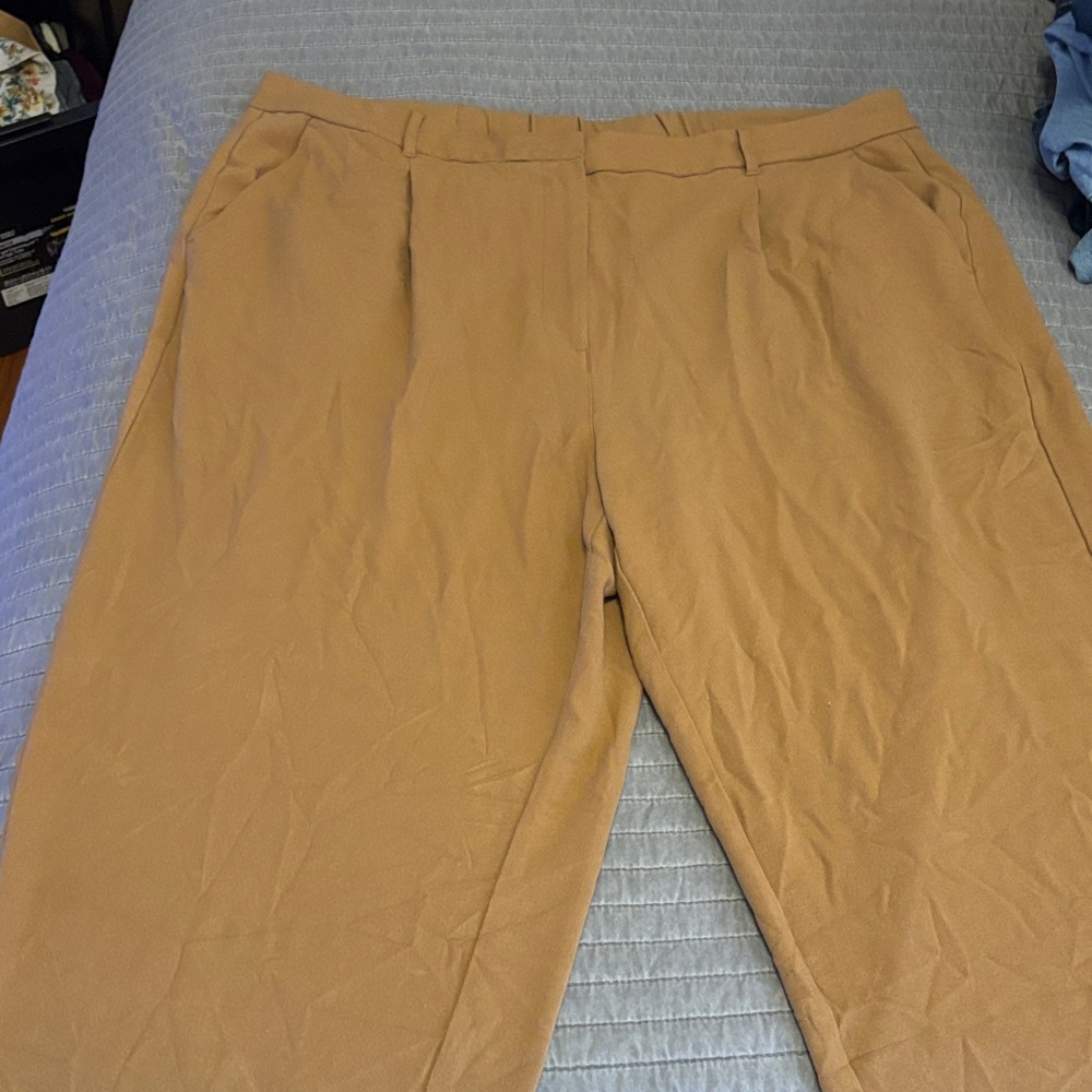 Women’s Tan dress Pants